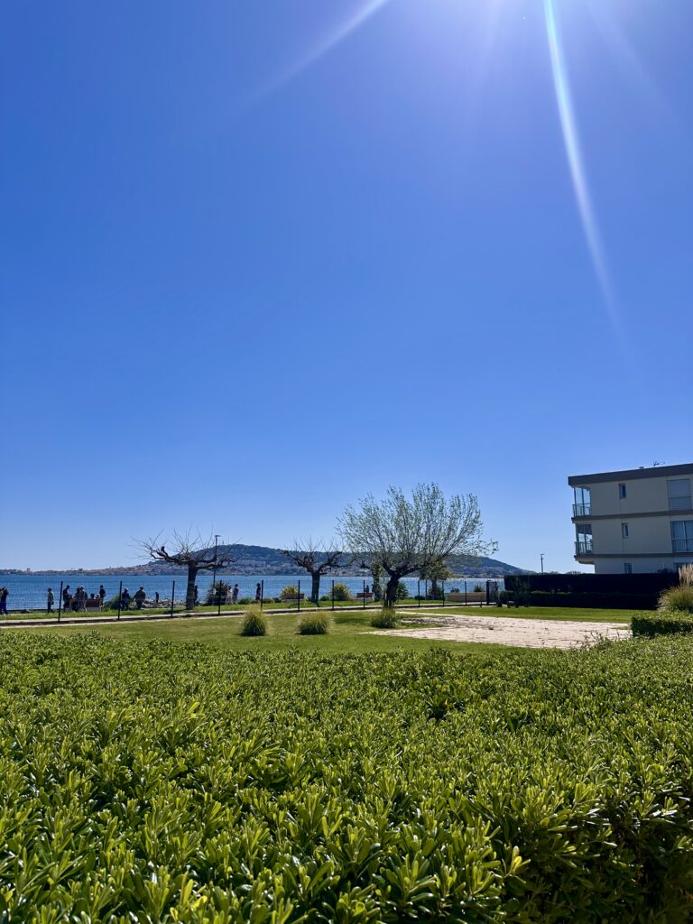 Vue depuis le parc commun